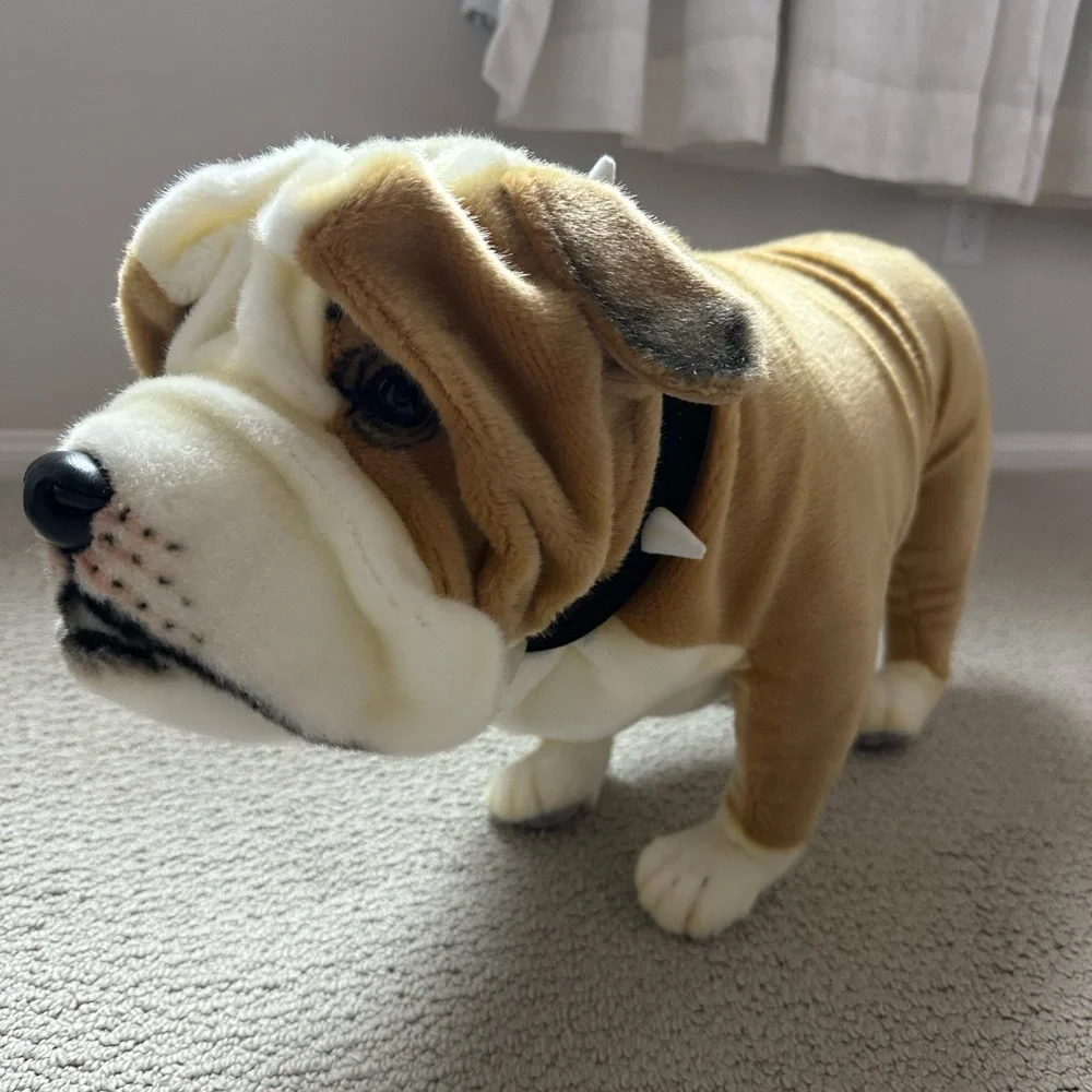 Odin Parker Bulldog - Picture 5 of 7